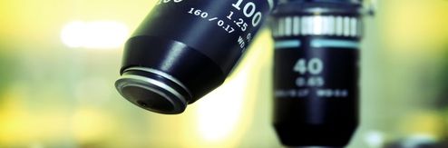 Other topics on the horizon